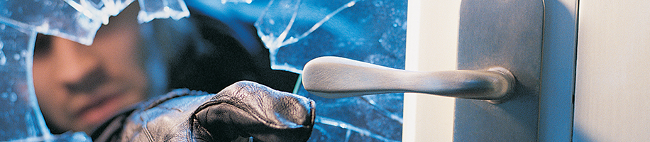Burglar alarm systems, detection systems